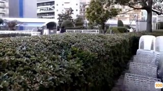 电话系列，点赞收藏兄弟们，持续更新中